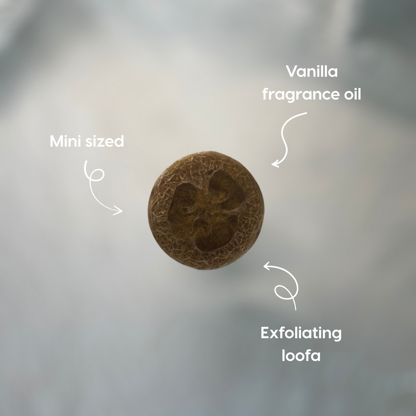 Vanilla | Mini Shower Bar